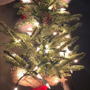 Meet your Posher, Colton